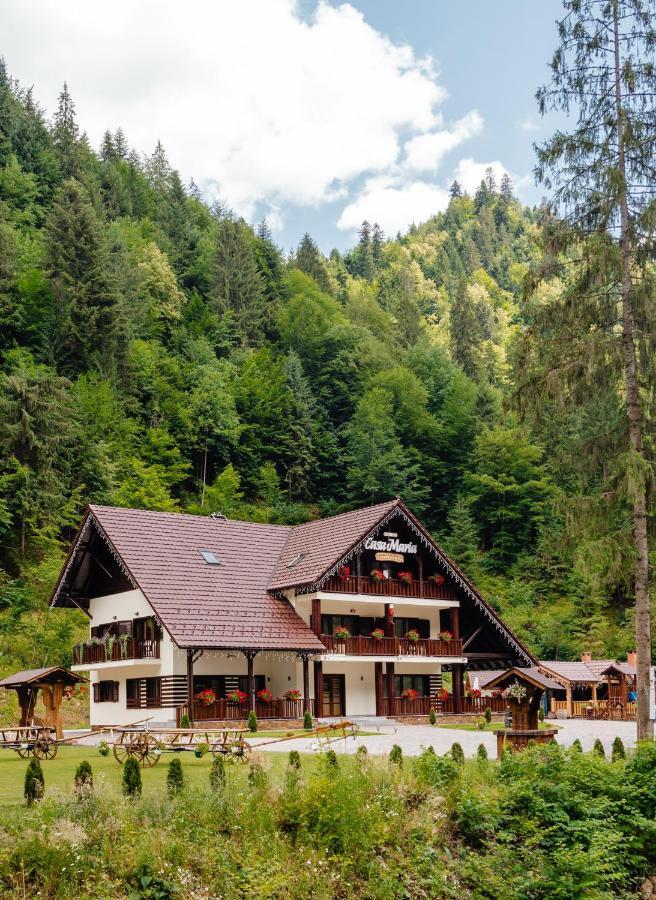 Pensiunea Agroturistica Casa Maria Rodna Luaran gambar